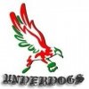 HUNSUNDERDOGS profilkép