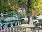 pimpa1974 profilkép