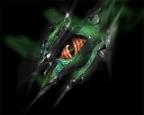 RAZERXX profilkép