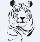 Istiger1 profilkép