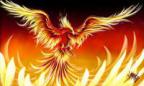 HunterPhoenix profilkép