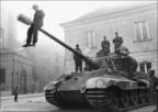 Sztare81 profilkép